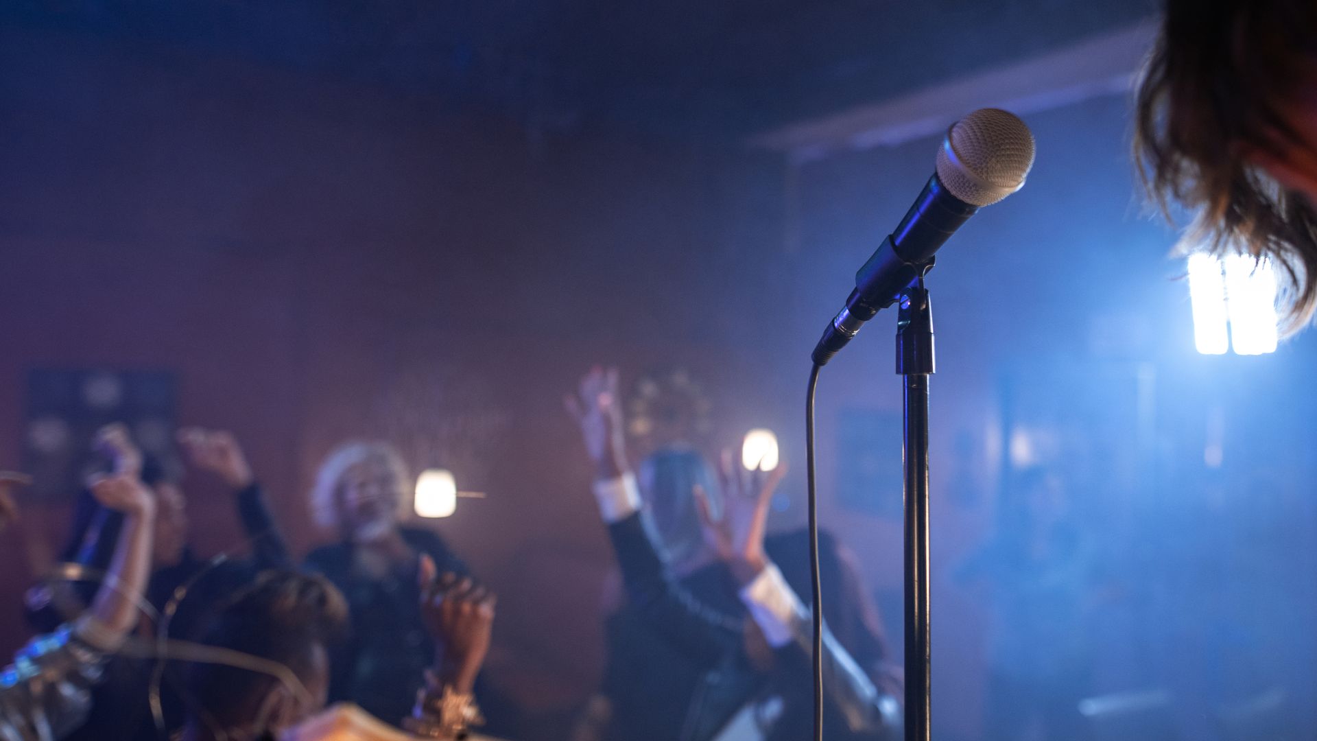 microphones top brands: Unlocking Audio Excellence 2 microphones top brands